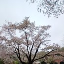 계원카페플레이