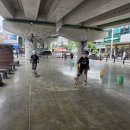 해솔 태권도 이미지