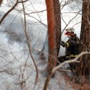 대원2리 이미지