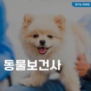 동물보건사 자격증, 응시자격, 시험일정, 월급(연봉) 정보