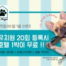 마이펫플레이텔 이미지