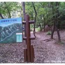 수리천 이미지
