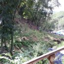 약산농장 이미지