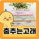 생리대 유통기한 춤추는고래 안전한 생리대 추천!