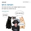 달님이네김밥 | 눈부시도록 파란 오늘