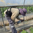 동머리농장 이미지