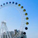 GS25 속초아이파크점 | [속초] 2030 데이트 추천 코스, 속초 가볼만한곳 (feat.청초호)