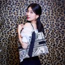 디올 카카오 검색결과