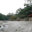 달빛 계곡 캠핑장 이미지