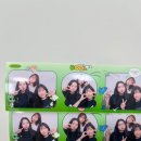 에버여행사주