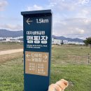 부산가볼만한곳 대저생태공원 팜파스 반려동물동반가능