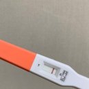 수정-130 | 난임 일기 1. 결혼 7년차 인공 수정 결심하기