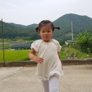 향미식당 이미지