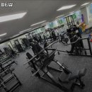 가오짐 피티샵 이미지