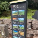 한반도 | 영월 "한반도지형" 애견동반 후기 ★꼭 보고 다녀오세요!