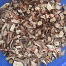 담쟁이농장 이미지