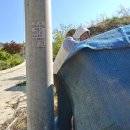 하늘녘싱싱팜 이미지