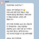 몽실캣 이미지