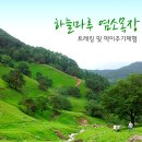 새싹목장 이미지