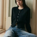 에프엘씨(FLC) 이미지