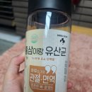 옥수수 동물병원 | 레디펫고 홍삼이랑유산균 동물병원간식 강아지가수분해 영양간식 관절면역간식추천!