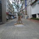 중앙로72번길 이미지