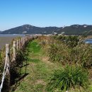 매음2저수지 이미지