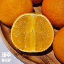 제주 노지황금향 제철과일 과일선물세트 드림농원
