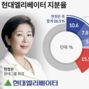 쉰들러 공격 받는 현대엘리베이터, 경영권 총력방어 노모·가족회사 주식 총동원해 대출 이미지