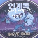 까까오독 애견미용실 | 인계동 애견미용 인계독 방문기