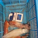 김선장펜션민박 이미지