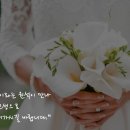 모아문구 이미지