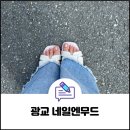네일엔무드 이미지