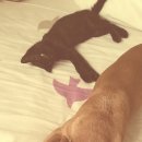 미나목장 이미지