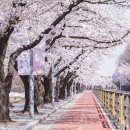 서강어린이공원 앞 이미지