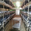 용구농장 이미지