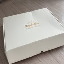 엔젤앤비 텐셀 역류방지쿠션 내돈내산 후기