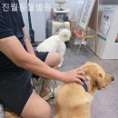 진월24동물병원 이미지