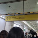 2025 캐럿랜드 첫콘 후기 : 평캐다짐