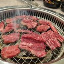 컵밥맛좀볼래 | 🔥 경주 현지인 맛집, 불맛좀볼래 한우 암소 모듬 한판 후기