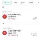 700150 | 미국 ETF 자동투자 5개월 후기 | 30만원 넣고 SCHD 2주, 수익률 +18.66%