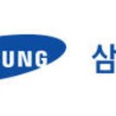 일류화