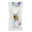 애견구루머 이미지