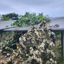 뿌리 태양광발전소 이미지