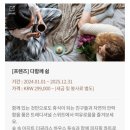 다쉼하우스 이미지