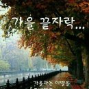 혼저옵서예 이미지
