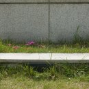 화합의분수 이미지