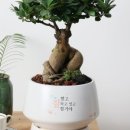 주식회사 에스지에너지 이미지