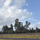 삼달리-17 이미지