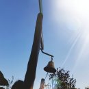 정왕동체육공원 인라인스케이트장